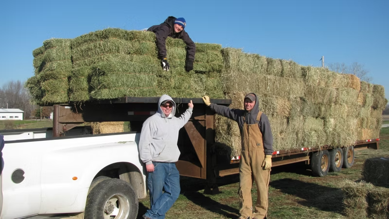 Hamilton Hay Auction